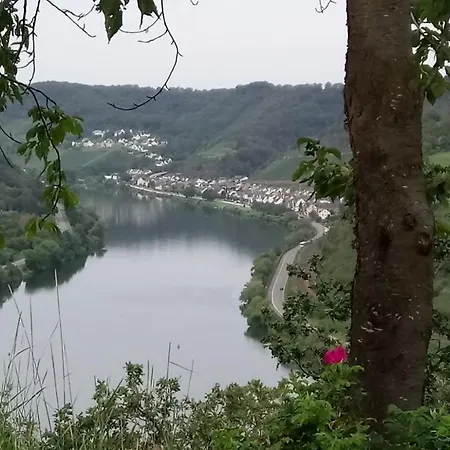 Casa de hóspedes Historischer Winzerverein Boutique