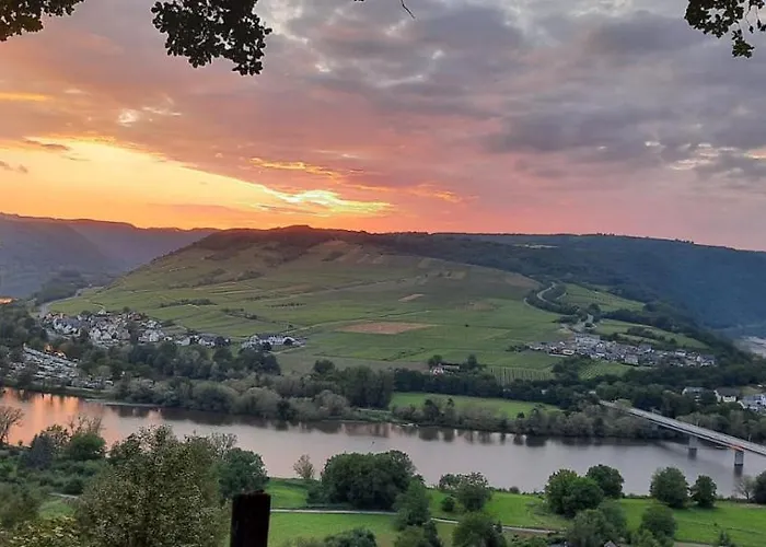 Casa de hóspedes Historischer Winzerverein Boutique Senheim