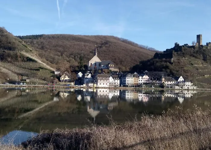 Historischer Winzerverein Boutique 招待所 3*