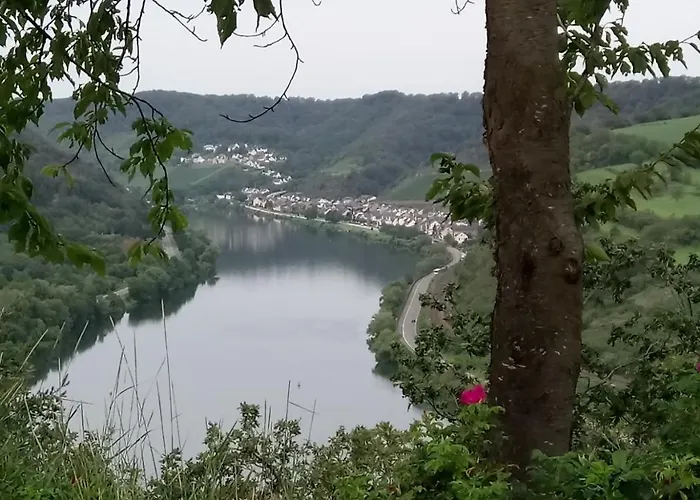 Casa de hóspedes Historischer Winzerverein Boutique