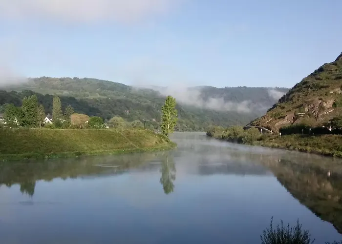 Historischer Winzerverein Boutique 招待所 3*