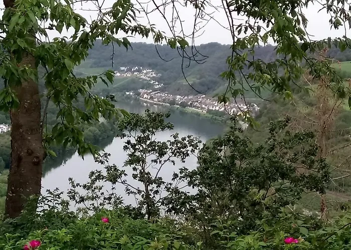 Historischer Winzerverein Boutique 3* Senheim