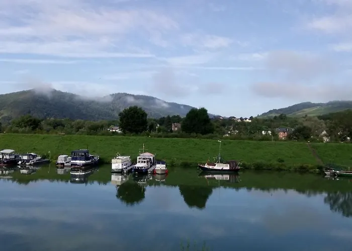 Historischer Winzerverein Boutique 招待所