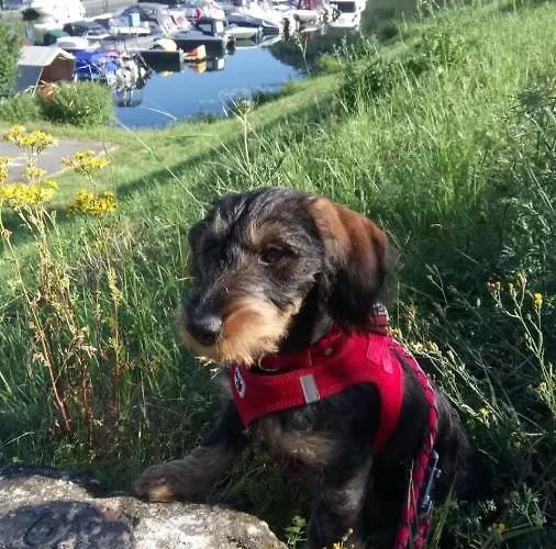 Historischer Winzerverein Boutique 3* Senheim